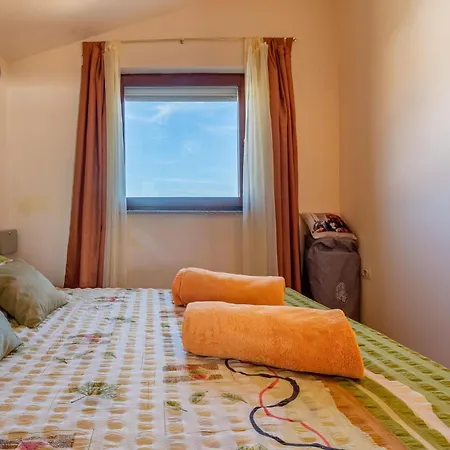 Cozy In With Kitchen Apartment Vir